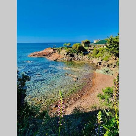Saint-RaphaëlAntheor - Vue Exceptionnelle - Refait A Neuf 4 Couchages公寓 外观 照片