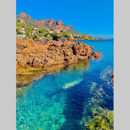 Saint-RaphaëlAntheor - Vue Exceptionnelle - Refait A Neuf 4 Couchages公寓 外观 照片