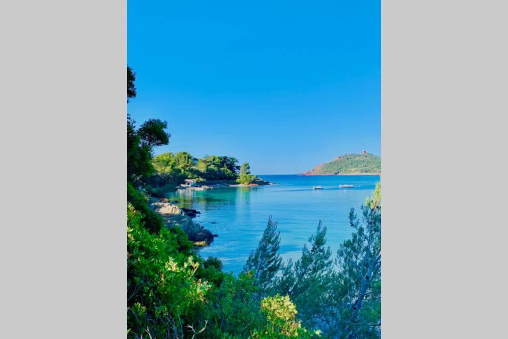 Saint-RaphaëlAntheor - Vue Exceptionnelle - Refait A Neuf 4 Couchages公寓 外观 照片