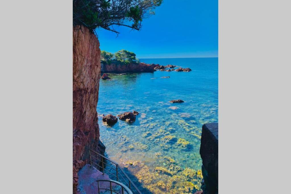 Saint-RaphaëlAntheor - Vue Exceptionnelle - Refait A Neuf 4 Couchages公寓 外观 照片