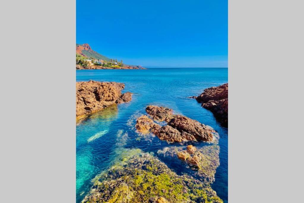 Saint-RaphaëlAntheor - Vue Exceptionnelle - Refait A Neuf 4 Couchages公寓 外观 照片