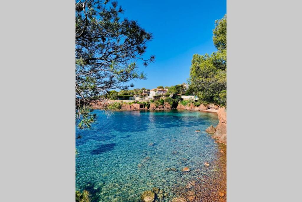 Saint-RaphaëlAntheor - Vue Exceptionnelle - Refait A Neuf 4 Couchages公寓 外观 照片