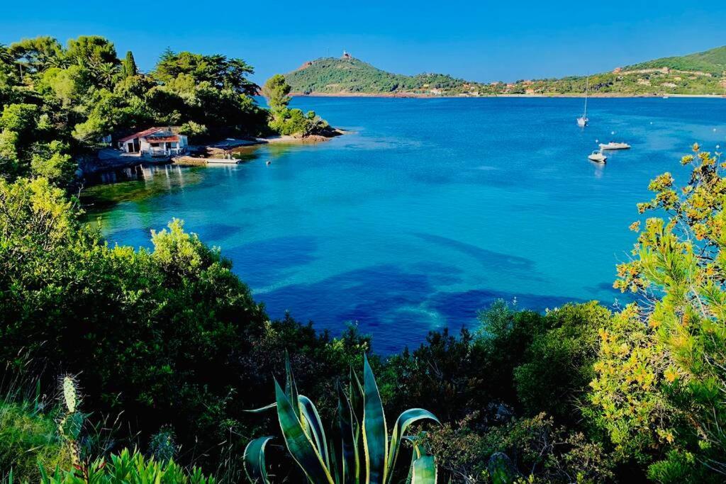 Saint-RaphaëlAntheor - Vue Exceptionnelle - Refait A Neuf 4 Couchages公寓 外观 照片