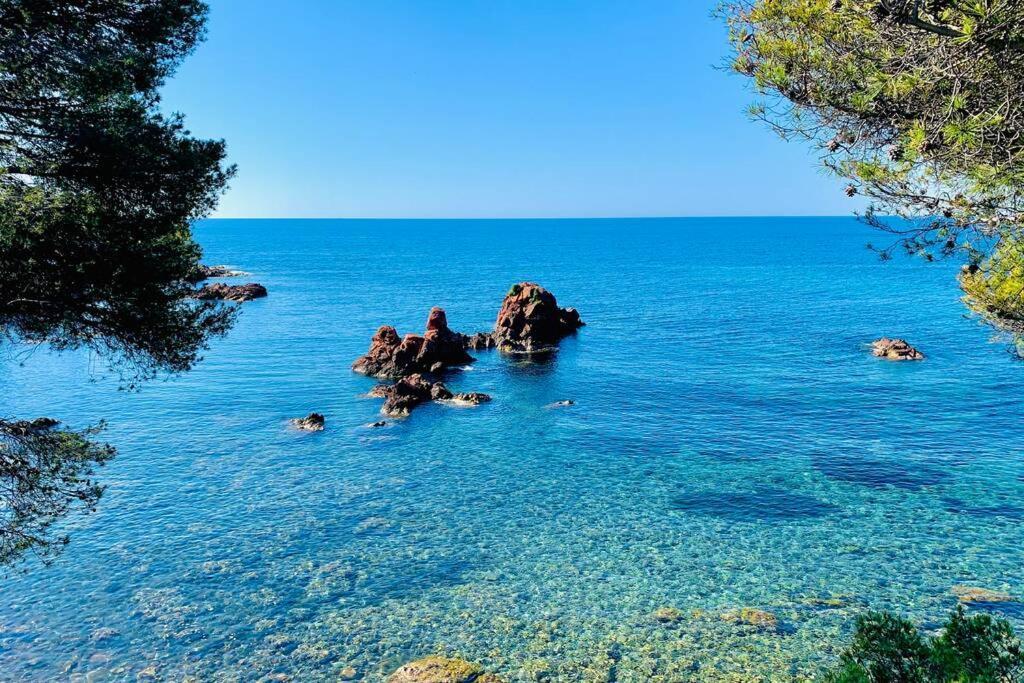 Saint-RaphaëlAntheor - Vue Exceptionnelle - Refait A Neuf 4 Couchages公寓 外观 照片