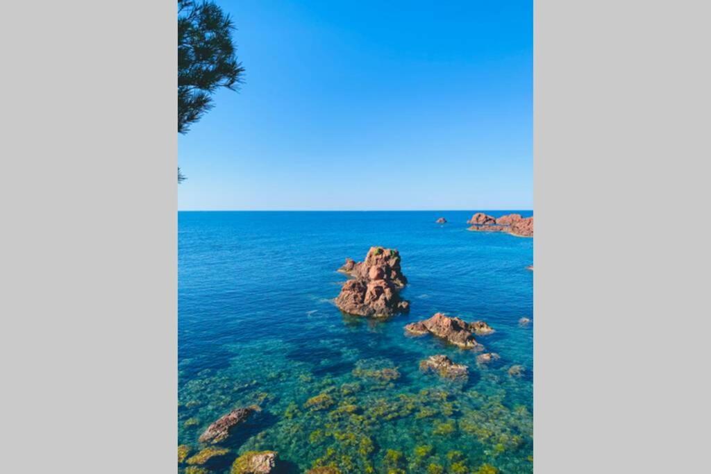 Saint-RaphaëlAntheor - Vue Exceptionnelle - Refait A Neuf 4 Couchages公寓 外观 照片