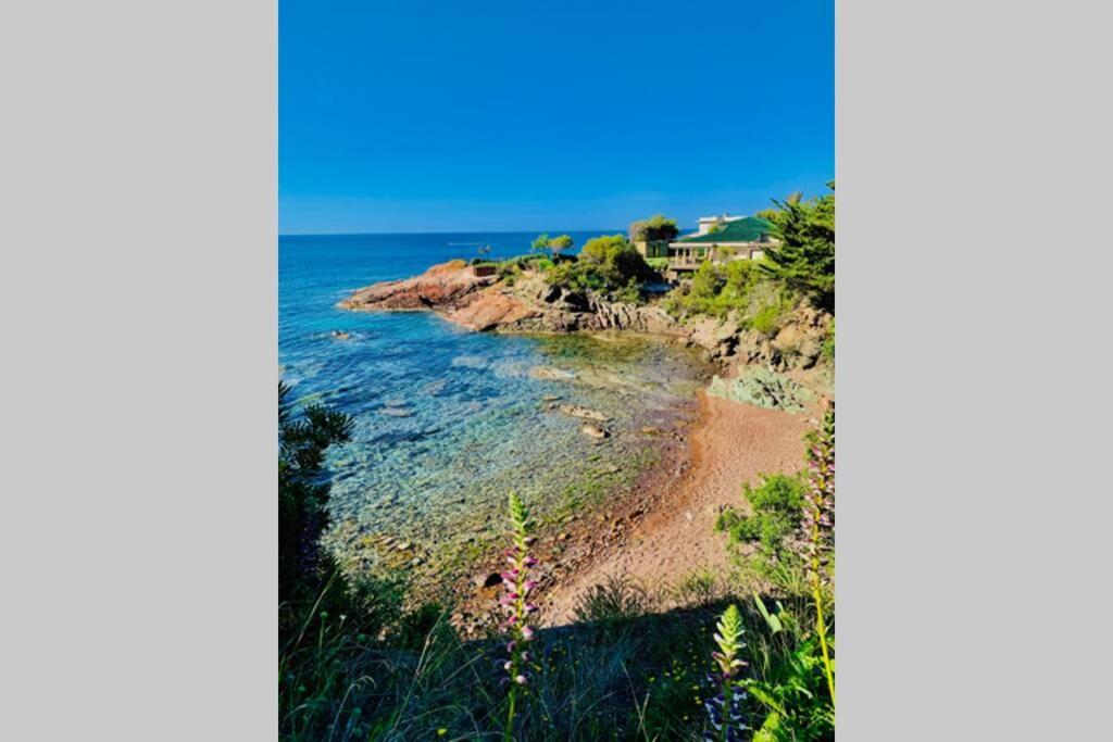 Saint-RaphaëlAntheor - Vue Exceptionnelle - Refait A Neuf 4 Couchages公寓 外观 照片