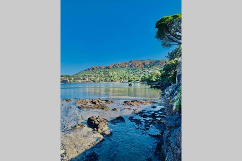 Saint-RaphaëlAntheor - Vue Exceptionnelle - Refait A Neuf 4 Couchages公寓 外观 照片