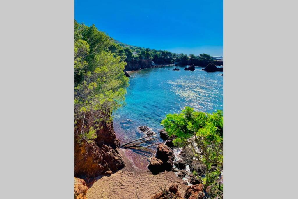 Saint-RaphaëlAntheor - Vue Exceptionnelle - Refait A Neuf 4 Couchages公寓 外观 照片